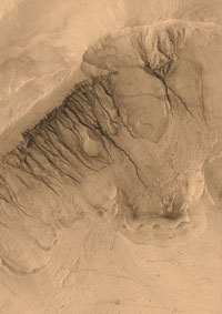 Mars crater at 39.0S, 166.1W