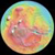 Mars Topography
