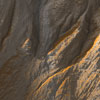 This enhanced-color view shows gullies in an unnamed crater in the Terra Sirenum region of Mars.