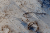 This Image Shows Dust-Devil Tracks in Southern Schiaparelli Basin