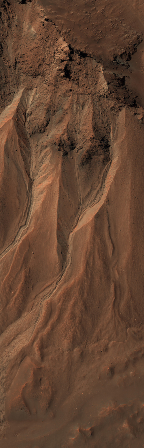 Gullies at the Edge of Hale Crater, Mars