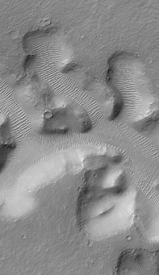 Nirgal Vallis and its Windblown Dunes
