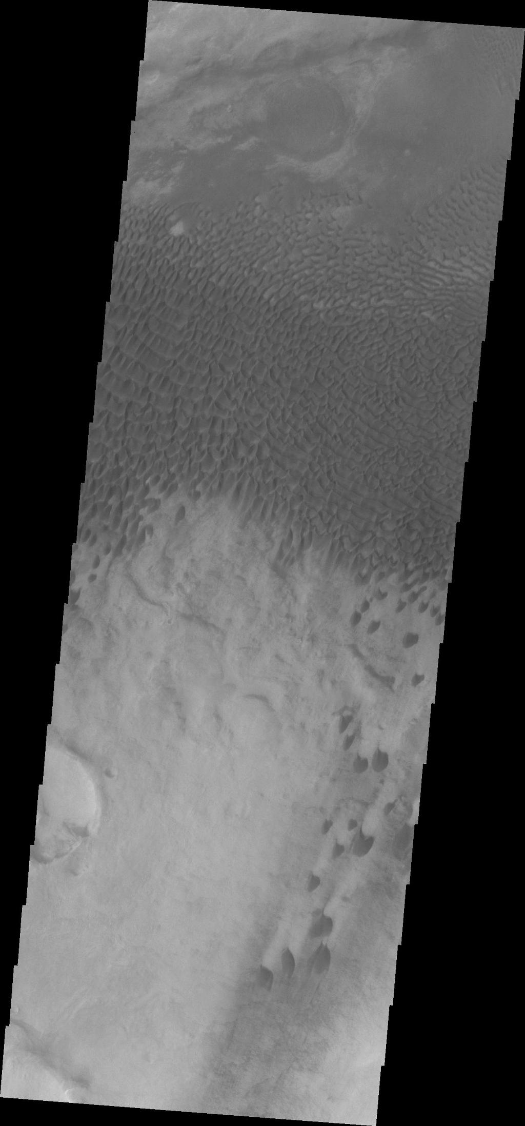 The dunes in this VIS image are located in Aonia Terra.