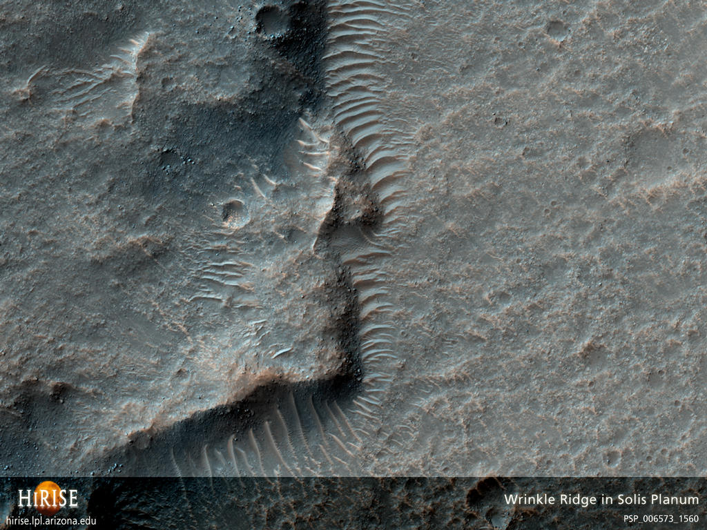 This observation shows a wrinkle ridge in Solis Planum, located in the Thaumasia region of Mars, a high-elevation volcanic plain located south of the Valles Marineris canyon system and east of the Tharsis volcanic complex. Solis Planum contains some of the most distinct and well studied arrays of wrinkle ridges on Mars.

Wrinkle ridges are long, winding topographic highs and are often characterized by a broad arch topped with a crenulated ridge. These features have been identified on many other planetary bodies such as the Moon, Mercury, and Venus. On Mars, they are many tens to hundreds of kilometers long, tens of kilometers wide, and have a relief of a few hundred meters. Wrinkle ridges are most commonly believed to form from horizontal compression or shortening of the crust due to faulting and are often located in volcanic plains. They commonly have asymmetrical cross sectional profiles and an offset in elevation on either side of the ridge. Large dunes are also visible bordering the wrinkle ridge.

The reddish colors seen in this image most likely indicate the presence of dust (or indurated dust) and the darker, bluish colors most likely indicate the presence of larger rocks and boulders on the wrinkle ridge.