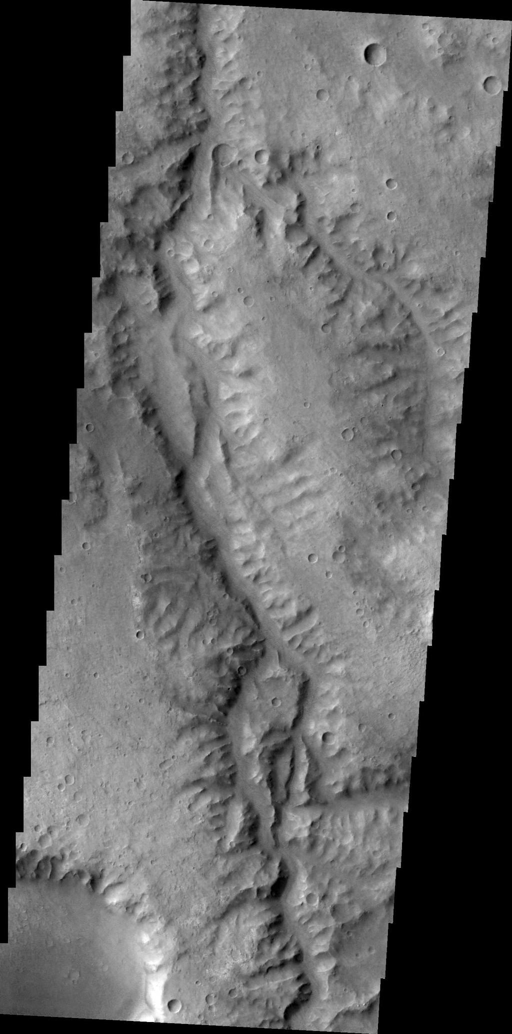 This unnamed channel drains part of Margaritifer Terra.
