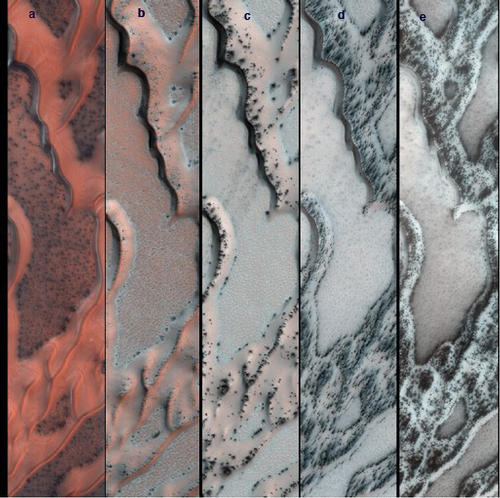 The High Resolution Imaging Science Experiment (HiRISE) camera on NASA's Mars Reconnaissance Orbiter snapped this series of false-color pictures of sand dunes in the north polar region of Mars