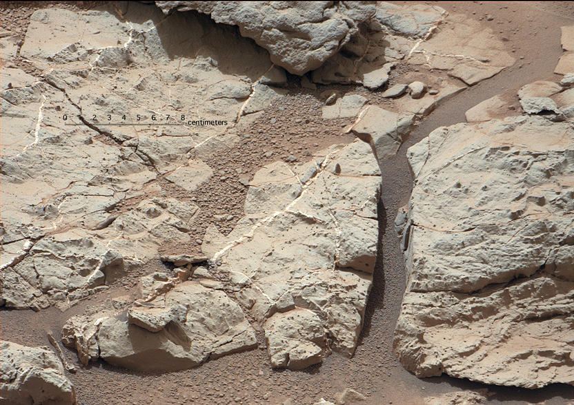Veins in 'Sheepbed' Outcrop