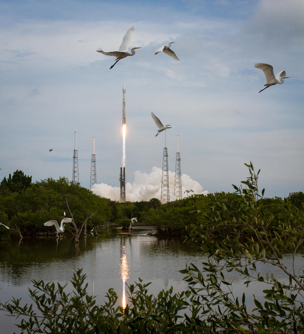 Taking Flight at Cape Canaveral