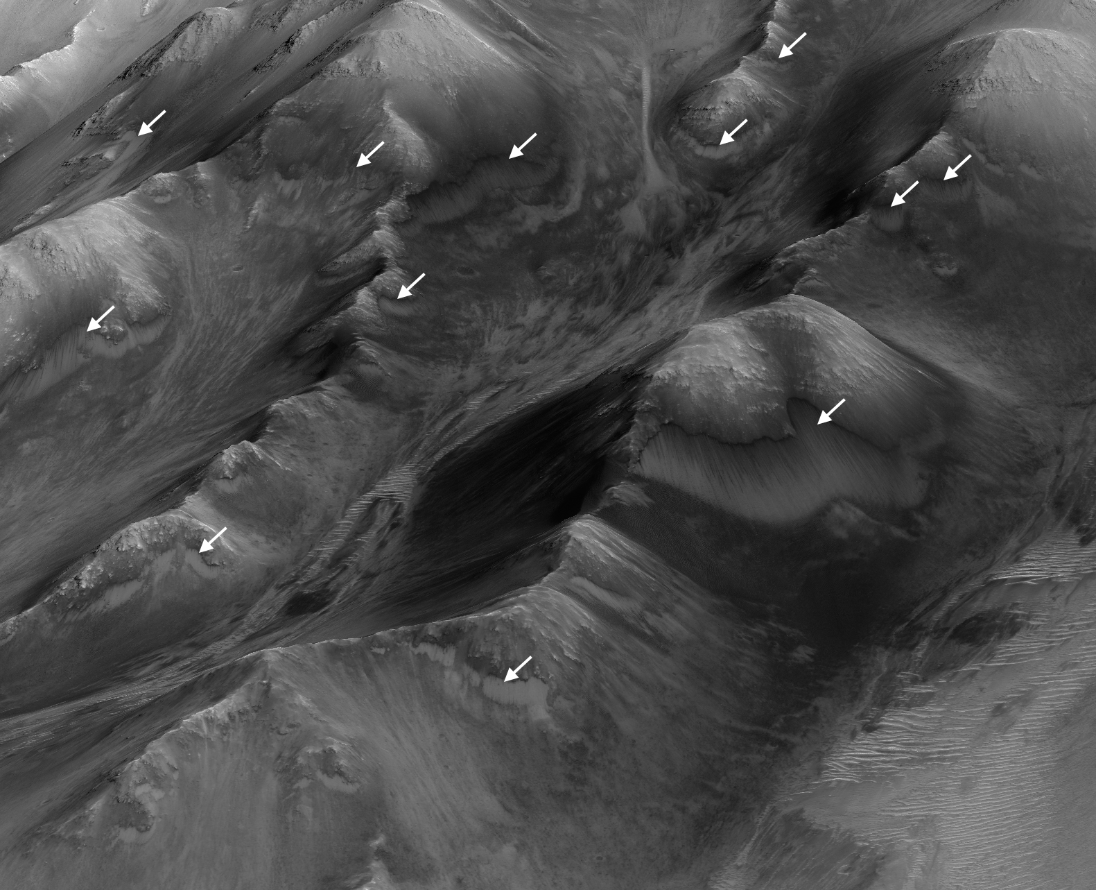 Numerous Seasonal 'Lineae' on Coprates Montes, Mars