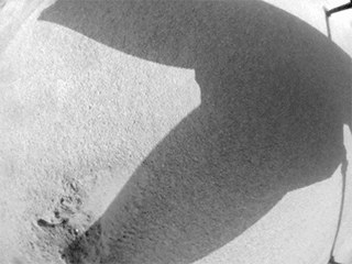 NASA’s Ingenuity Mars Helicopter used its black-and-white navigation camera to capture this video showing the shadows of its rotor blades turning on Feb. 11, 2024.